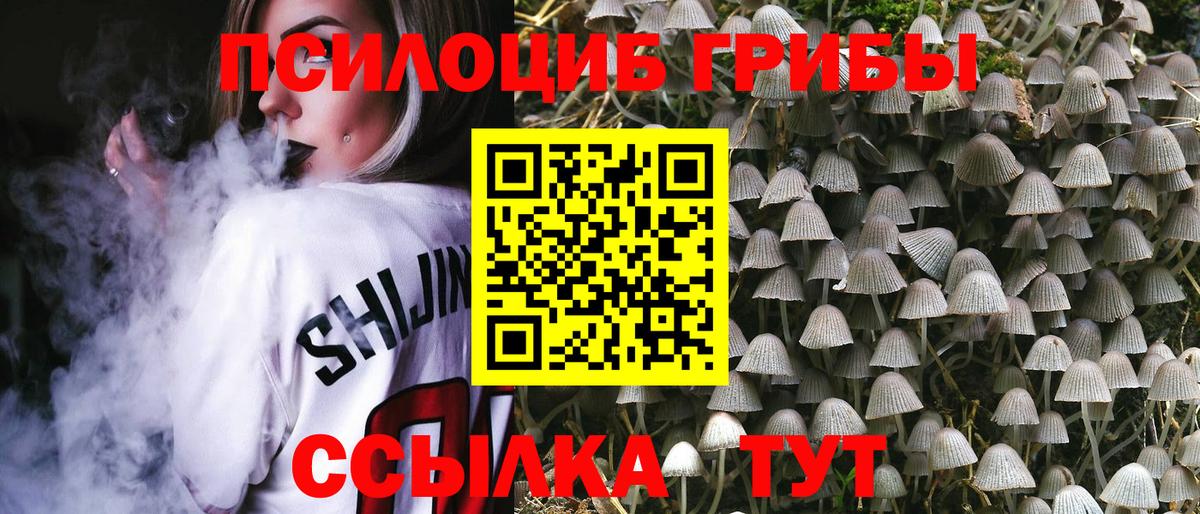 Заволжье  закладки  Вход с VPN  Псилоцибиновые грибы ЛСД 