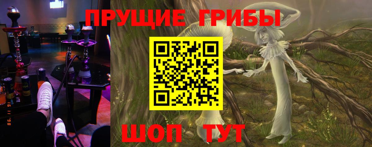 Псилоцибиновые грибы ЛСД Заволжье